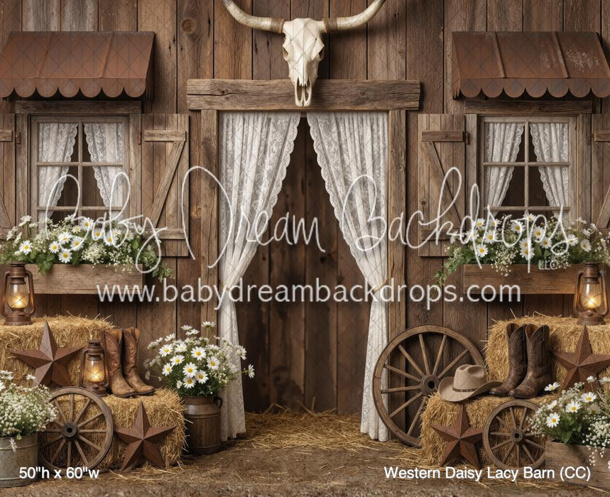 Western Daisy Lacy Barn (CC)
