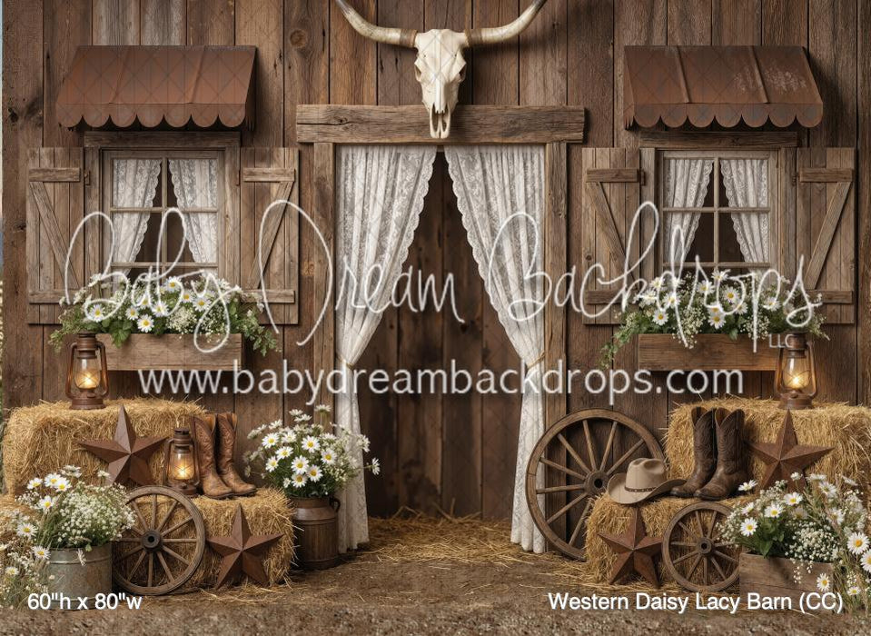 Western Daisy Lacy Barn (CC)