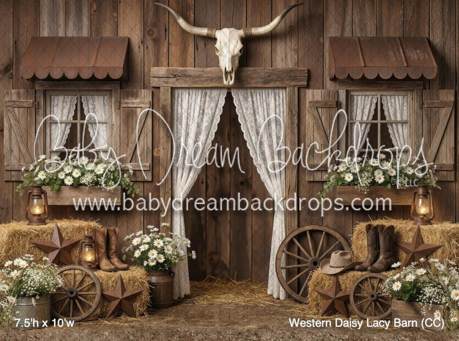 Western Daisy Lacy Barn (CC)