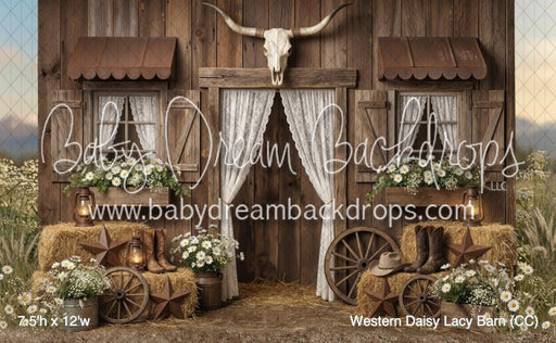 Western Daisy Lacy Barn (CC)
