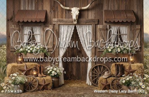 Western Daisy Lacy Barn (CC)