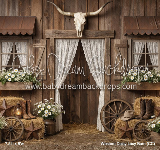 Western Daisy Lacy Barn (CC)
