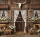 Western Daisy Lacy Barn (CC)