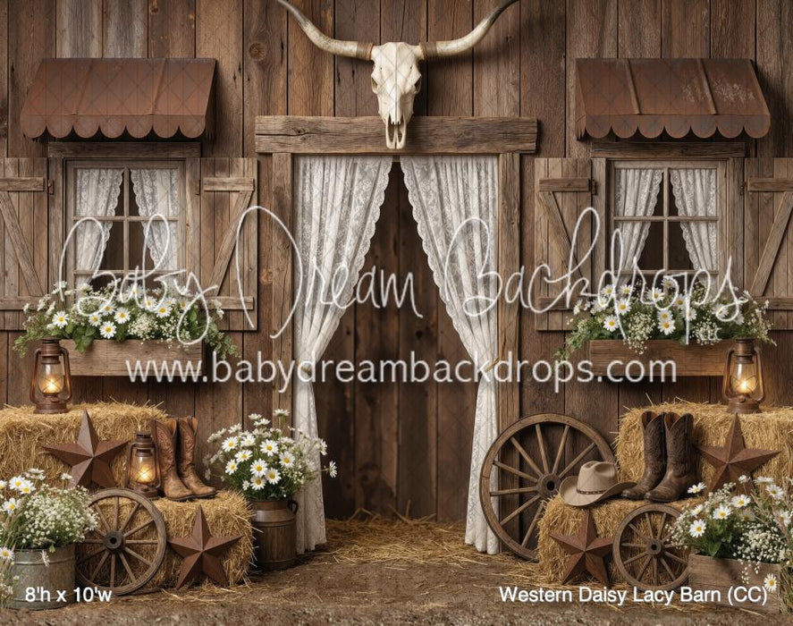 Western Daisy Lacy Barn (CC)