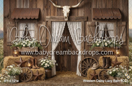 Western Daisy Lacy Barn (CC)