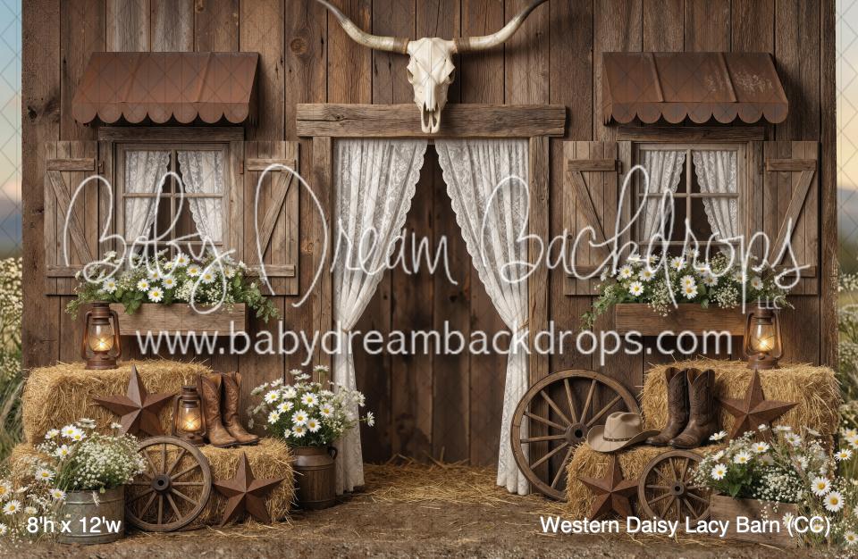 Western Daisy Lacy Barn (CC)