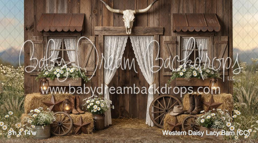 Western Daisy Lacy Barn (CC)