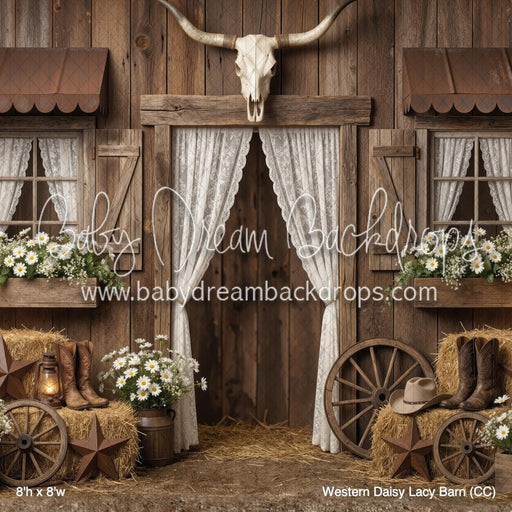 Western Daisy Lacy Barn (CC)