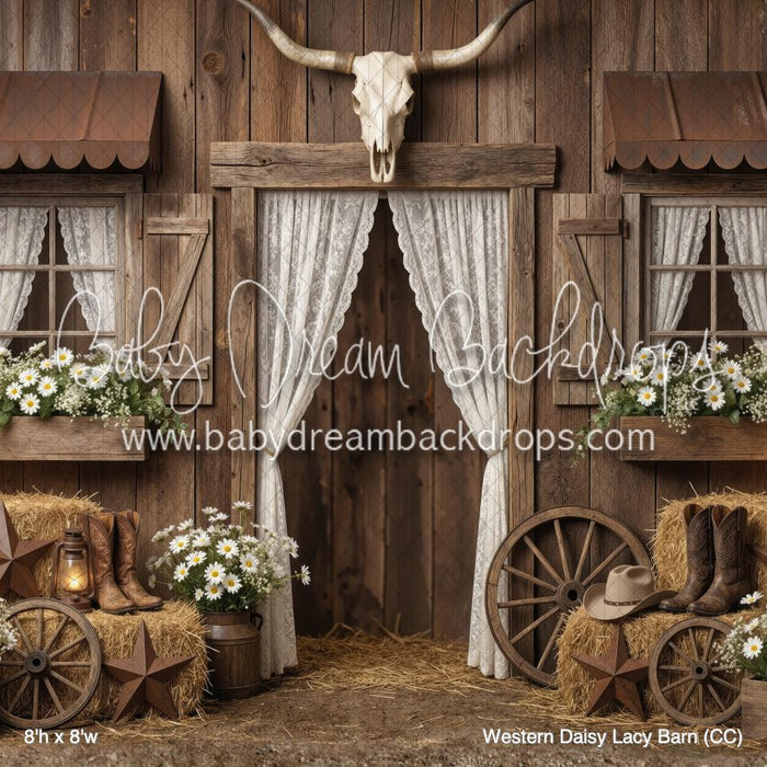 Western Daisy Lacy Barn (CC)