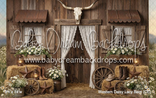 Western Daisy Lacy Barn (CC)