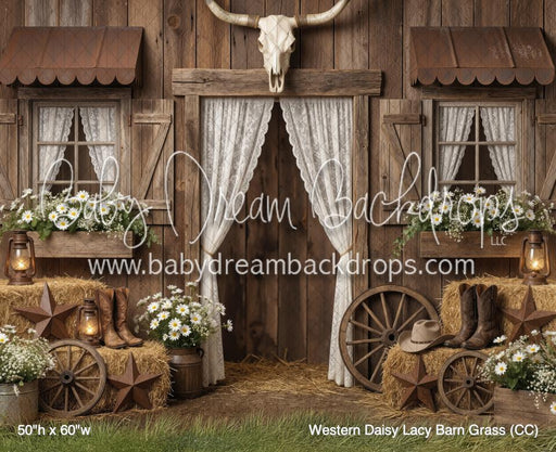 Western Daisy Lacy Barn Grass (CC)