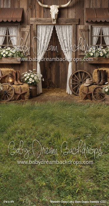 Western Daisy Lacy Barn Grass Sweeps (CC)