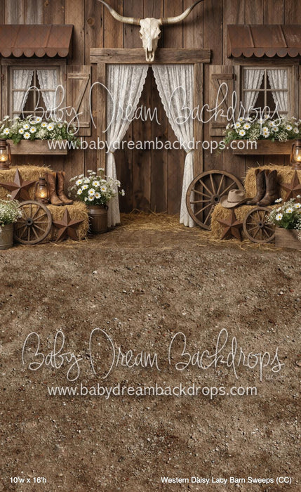 Western Daisy Lacy Barn Sweeps (CC)