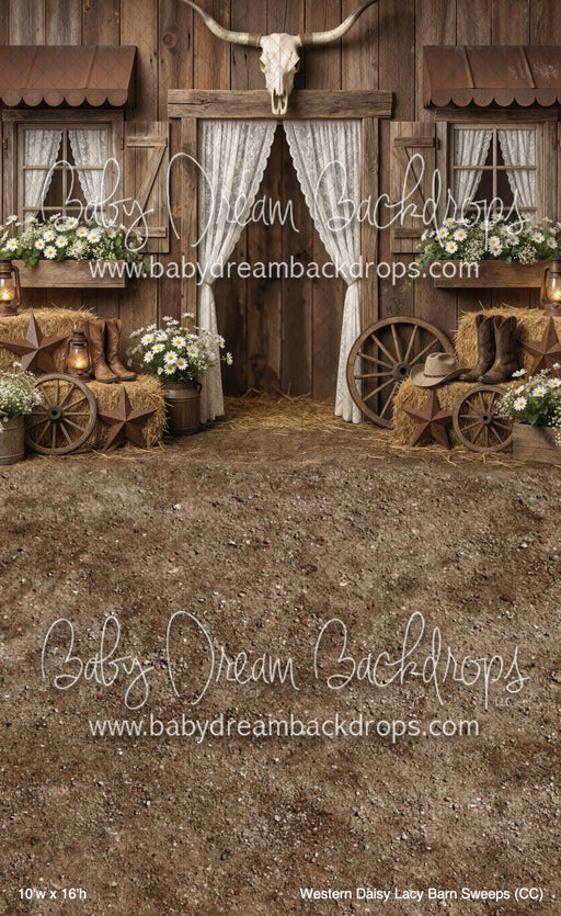 Western Daisy Lacy Barn Sweeps (CC)