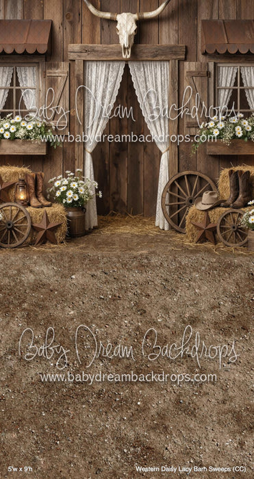 Western Daisy Lacy Barn Sweeps (CC)