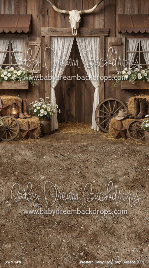 Western Daisy Lacy Barn Sweeps (CC)