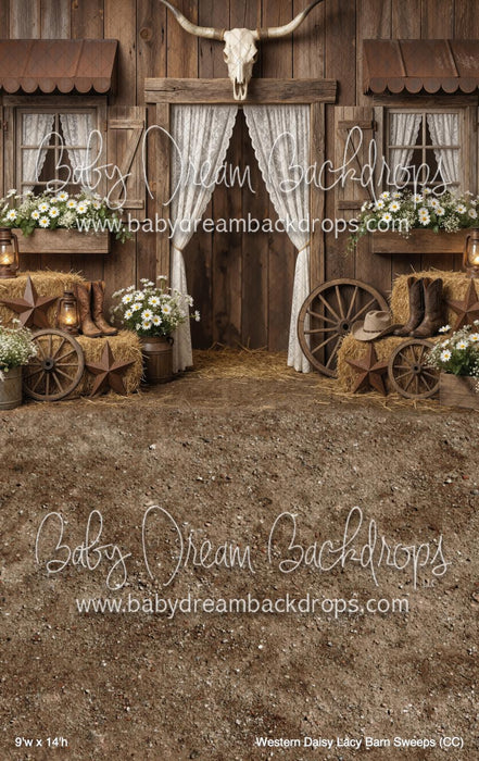 Western Daisy Lacy Barn Sweeps (CC)