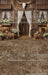 Western Daisy Lacy Barn Sweeps (CC)