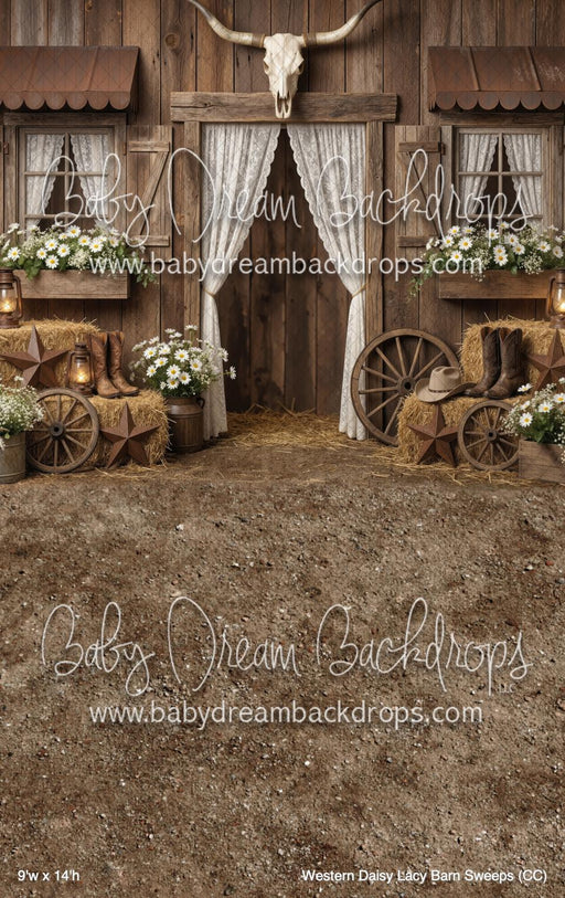 Western Daisy Lacy Barn Sweeps (CC)