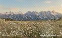 Western Daisy Meadow (CC)