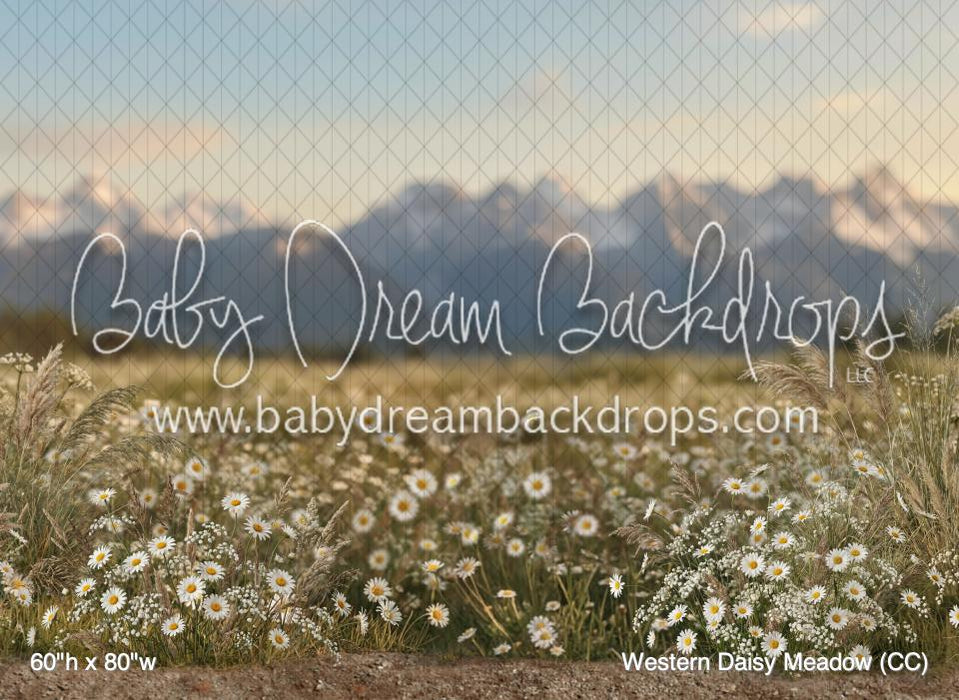 Western Daisy Meadow (CC)