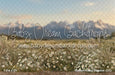 Western Daisy Meadow (CC)