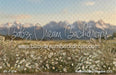 Western Daisy Meadow (CC)
