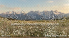 Western Daisy Meadow (CC)