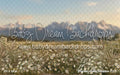 Western Daisy Meadow (CC)