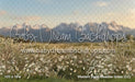 Western Daisy Meadow Grass (CC)