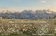 Western Daisy Meadow Grass (CC)