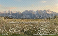 Western Daisy Meadow Grass (CC)