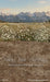Western Daisy Meadow Sweeps (CC)
