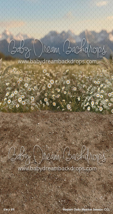 Western Daisy Meadow Sweeps (CC)