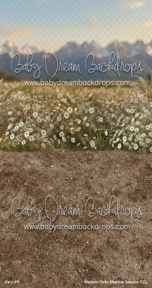 Western Daisy Meadow Sweeps (CC)