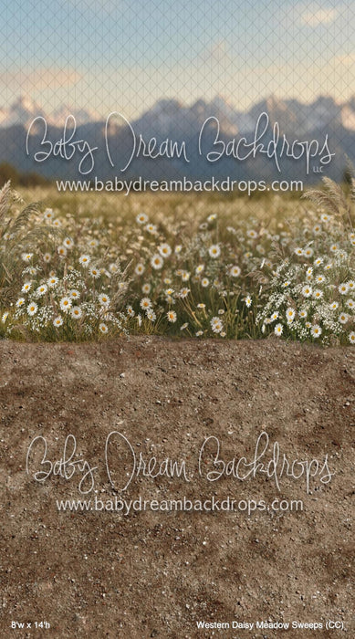 Western Daisy Meadow Sweeps (CC)