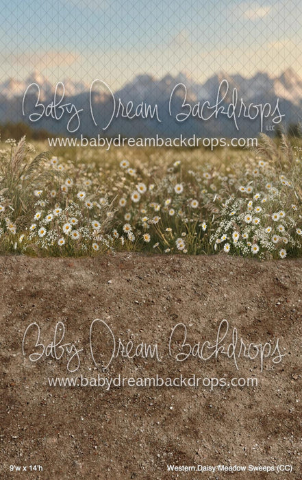 Western Daisy Meadow Sweeps (CC)