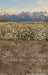 Western Daisy Meadow Sweeps (CC)