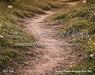 Where Flowers Whisper Fabric Floor (BD)