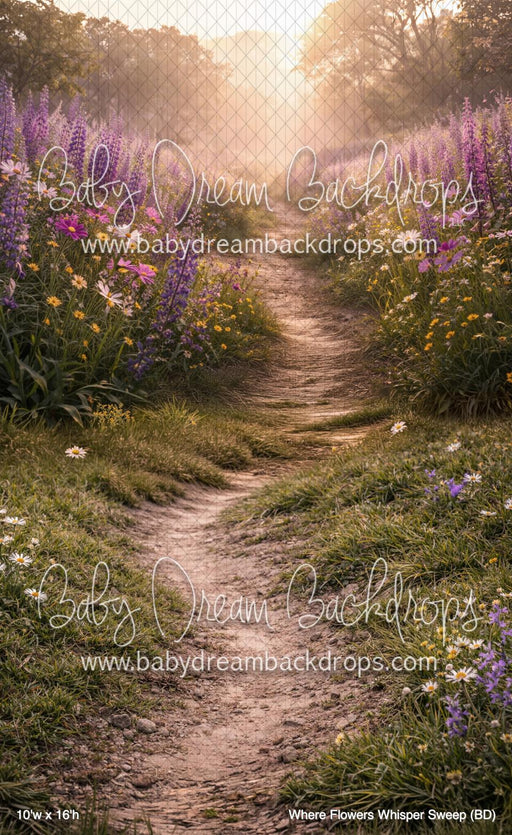 Where Flowers Whisper Sweep (BD)