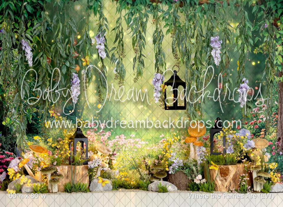 Where the Fairies Are (LW)