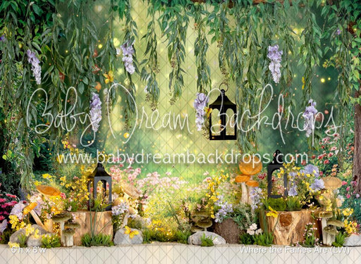 Where the Fairies Are (LW)