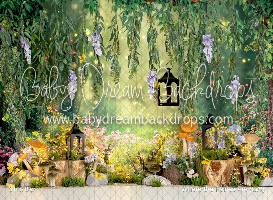 Where the Fairies Are (LW)