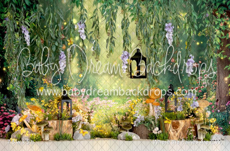 Where the Fairies Are (LW)