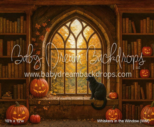 Whiskers in the Window (WM)