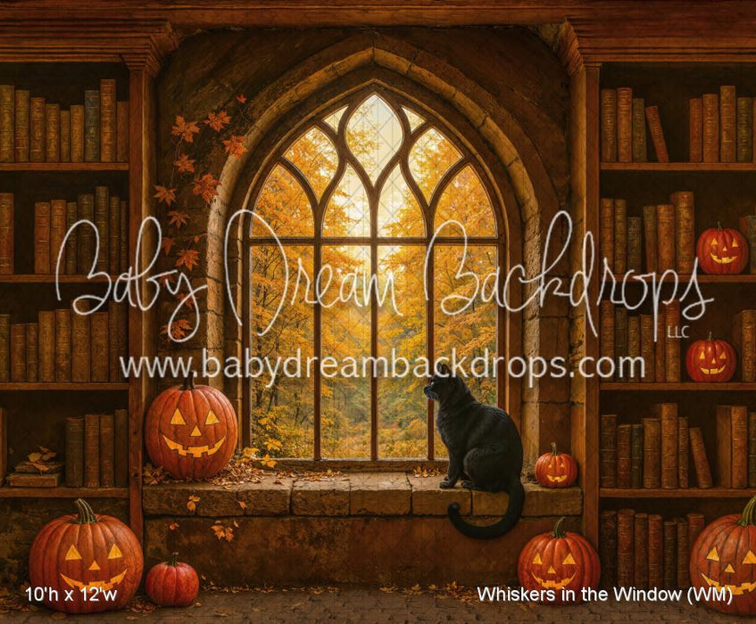 Whiskers in the Window (WM)