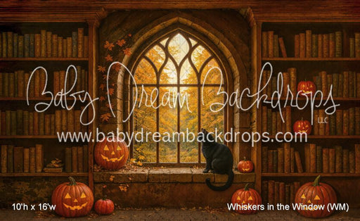 Whiskers in the Window (WM)