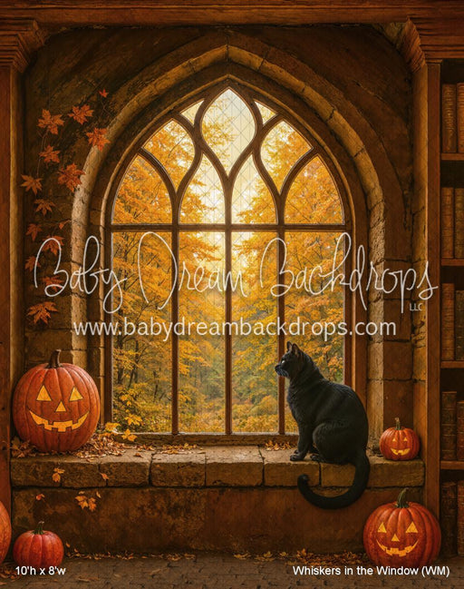 Whiskers in the Window (WM)