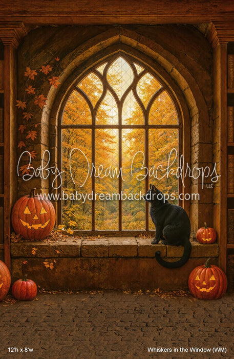 Whiskers in the Window (WM)