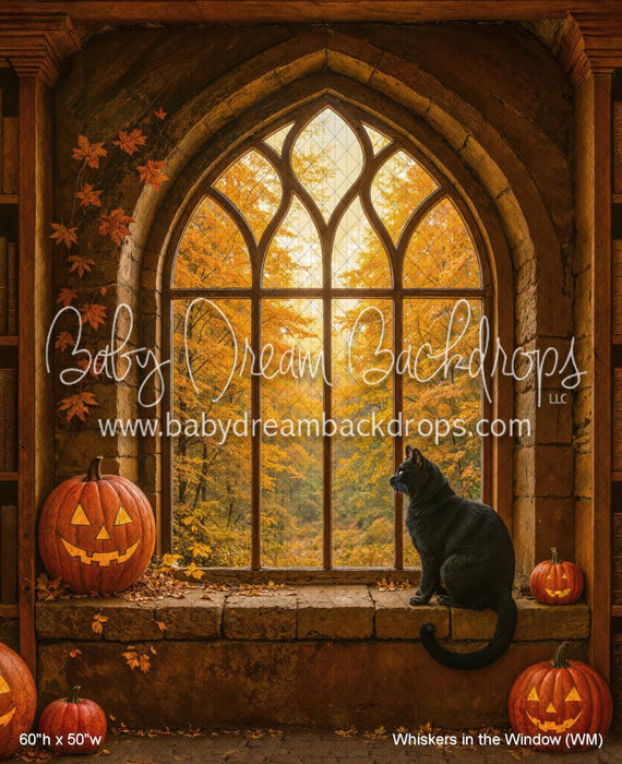 Whiskers in the Window (WM)